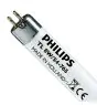 Philips T5 Short 8W - 765 Luce del Giorno | 29cm