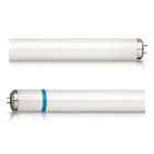 Philips TL-D Secura 18W - Nerolight | 60cm